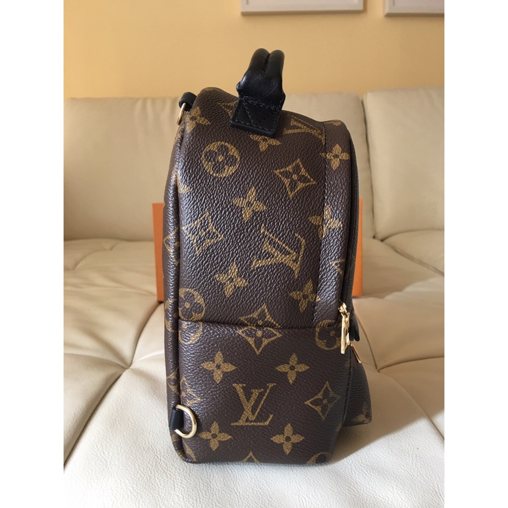Louis Vuitton Palm Springs Mini. Just ordered 4/20 - Picture 4 of 8